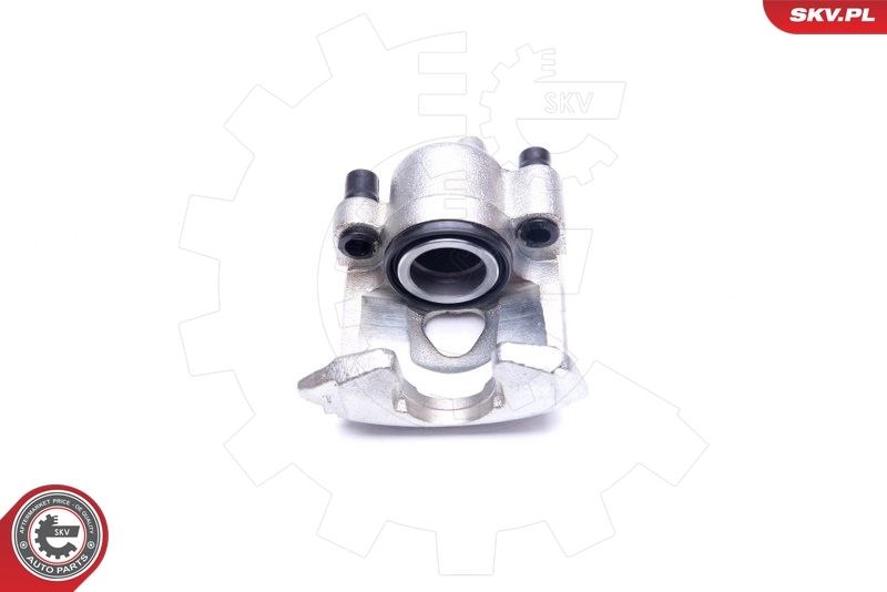 Brake Caliper 45SKV452
