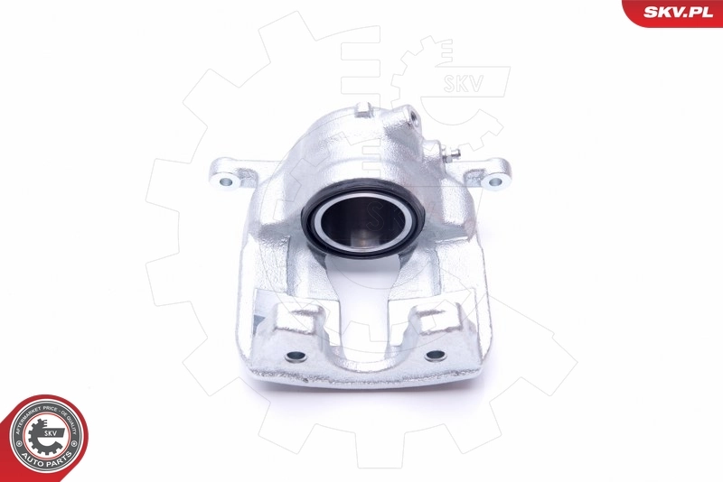 Brake Caliper 44SKV282