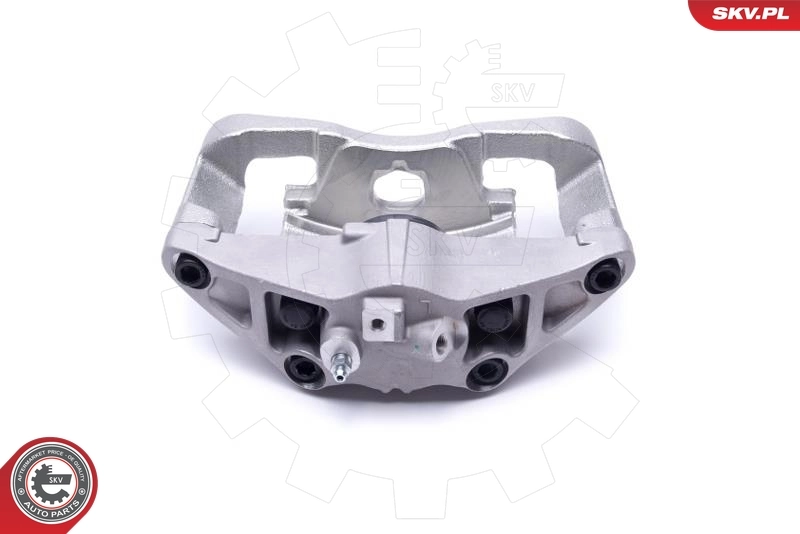 Brake Caliper 55SKV791