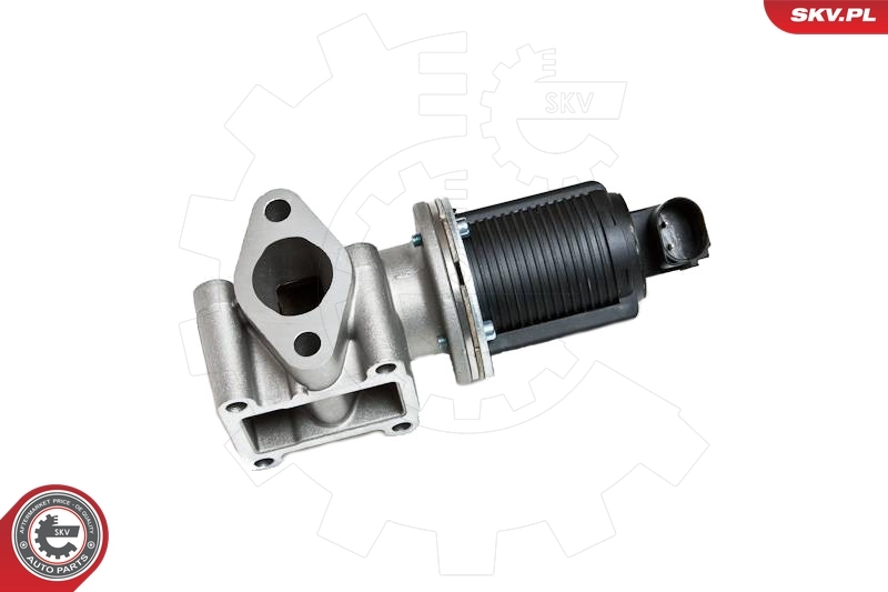EGR Valve 14SKV012