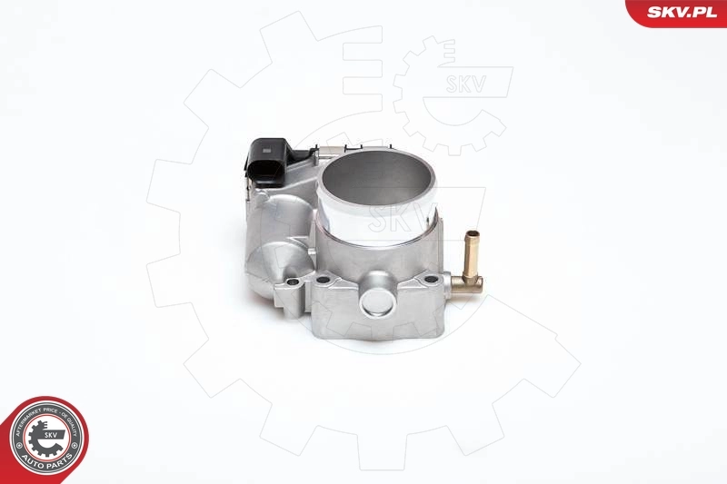 Throttle Body 12SKV008