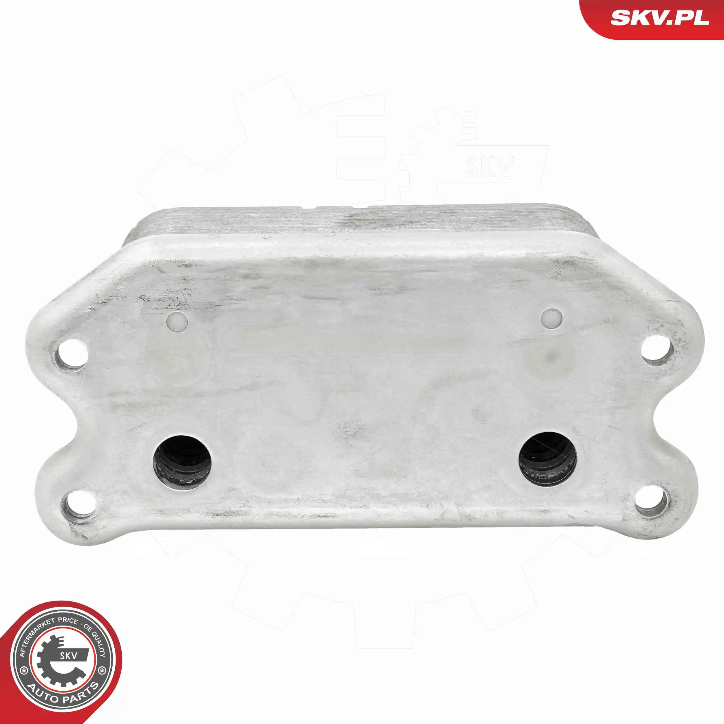 Oil Cooler, engine oil 31SKV280