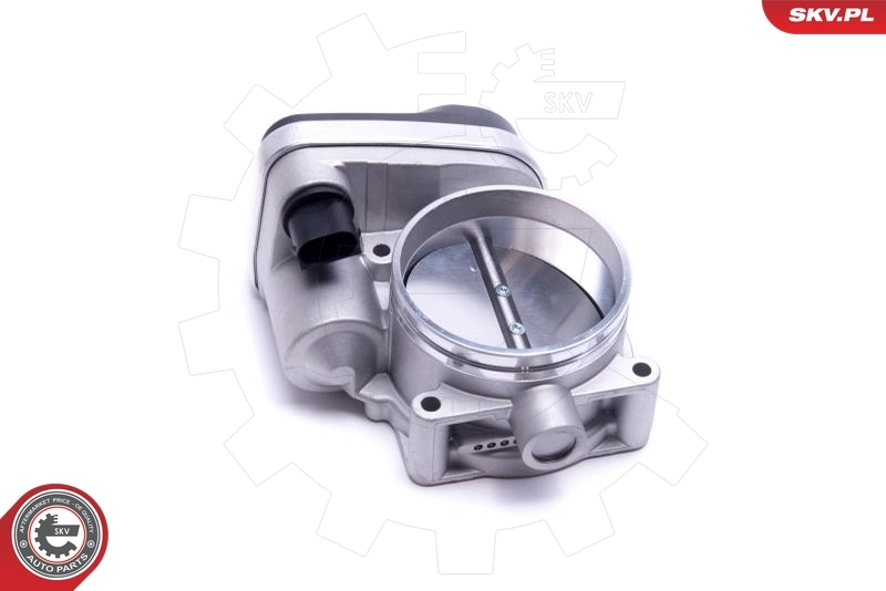 Throttle Body 12SKV121