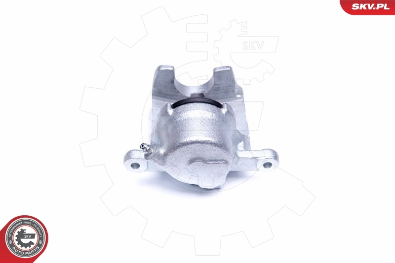 Brake Caliper 44SKV021