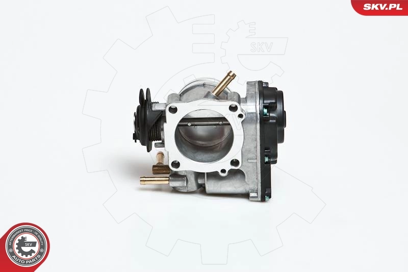 Throttle Body 12SKV036