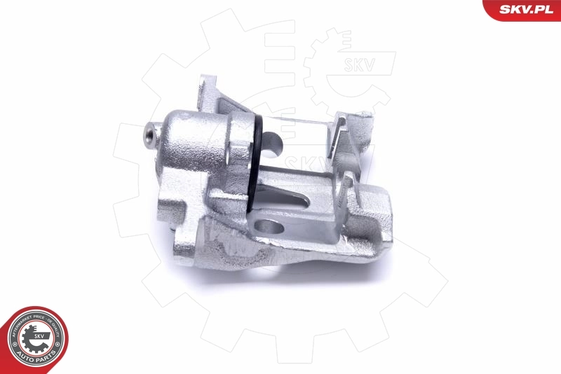 Brake Caliper 50SKV971