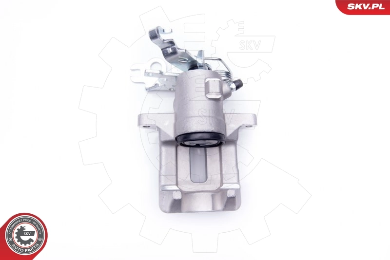 Brake Caliper 42SKV044
