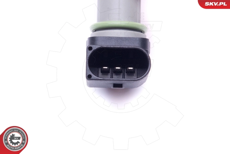 Sensor, camshaft position 17SKV495