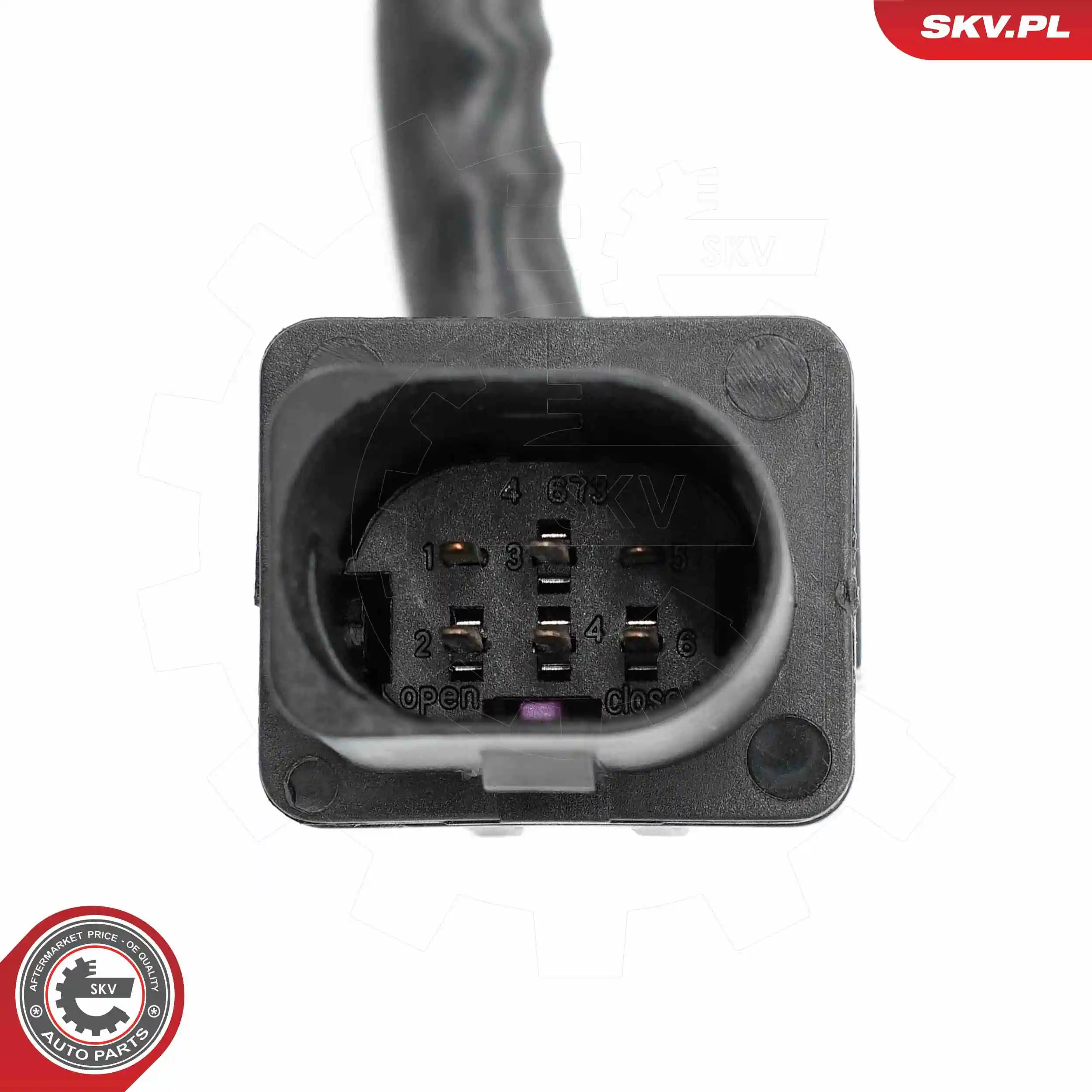 Oxygen Sensor 09SKV199