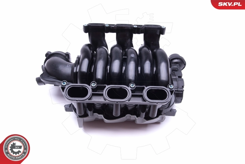 Intake Manifold Module 49SKV002