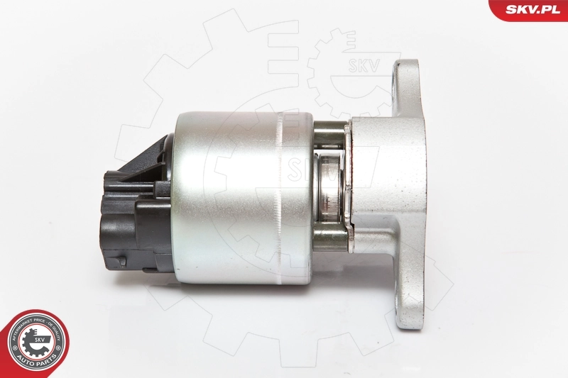 EGR Valve 14SKV056