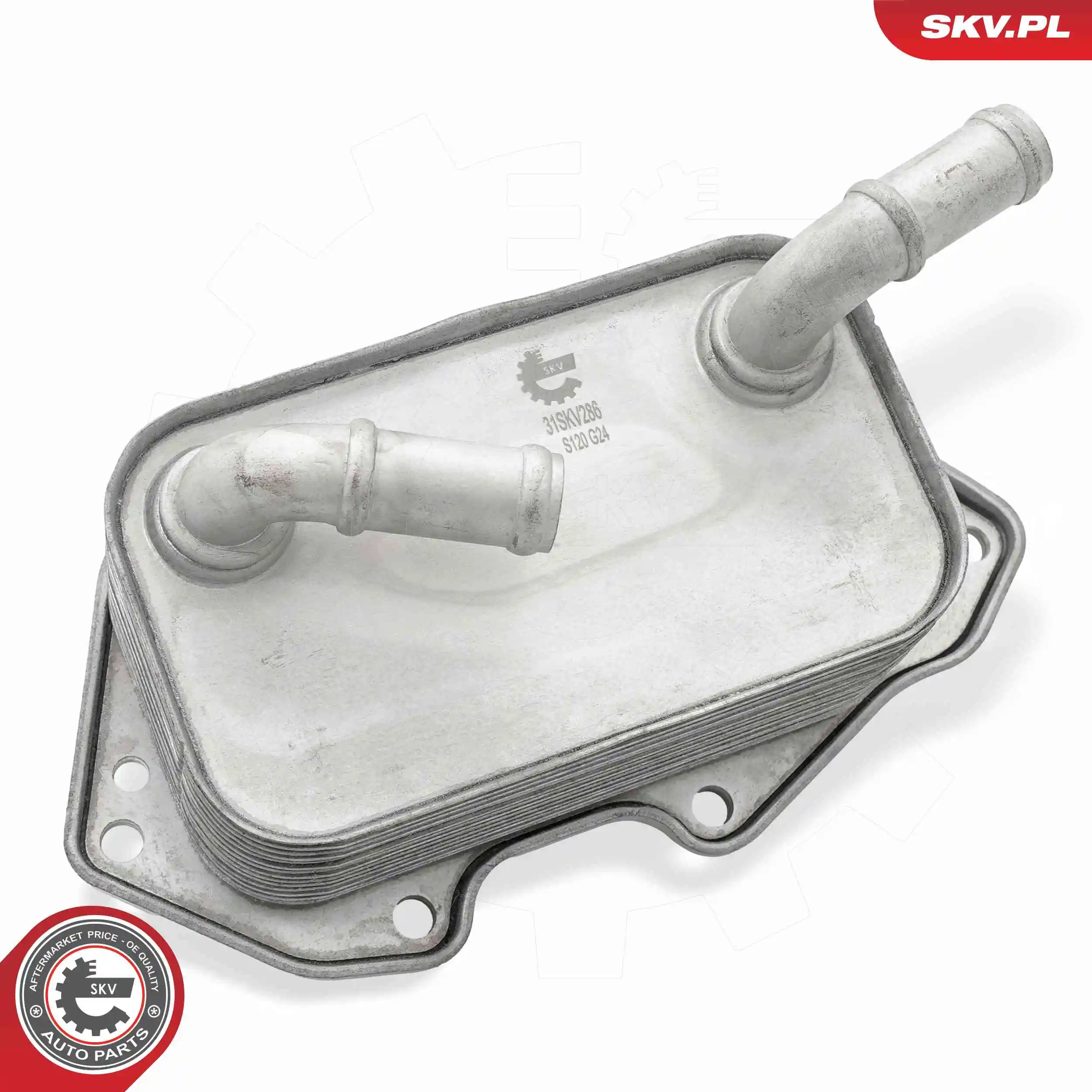 Oil Cooler, engine oil 31SKV286