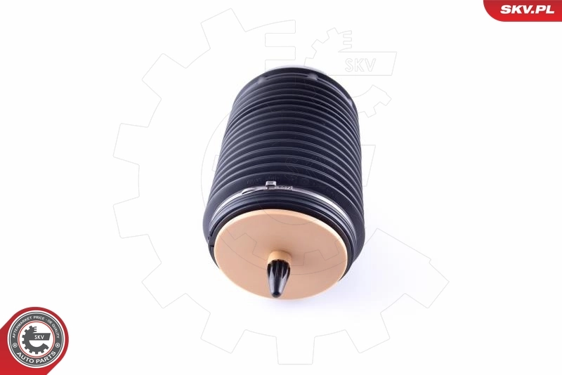 Air Spring, suspension 58SKV017