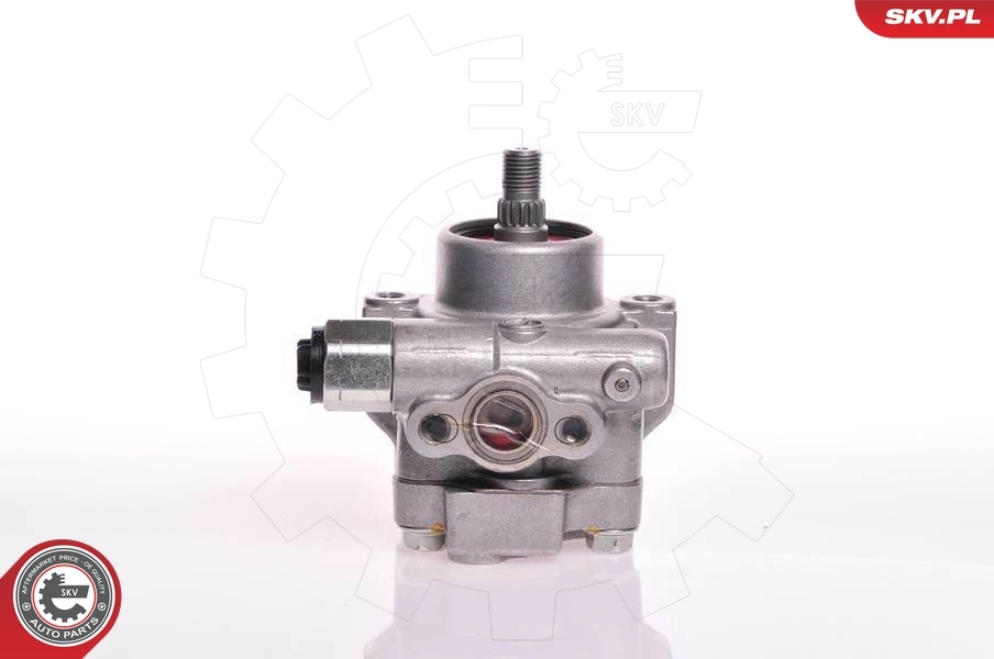 Hydraulic Pump, steering 10SKV132