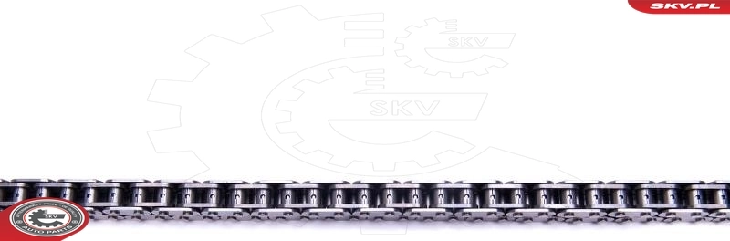 Timing Chain Kit 21SKV177