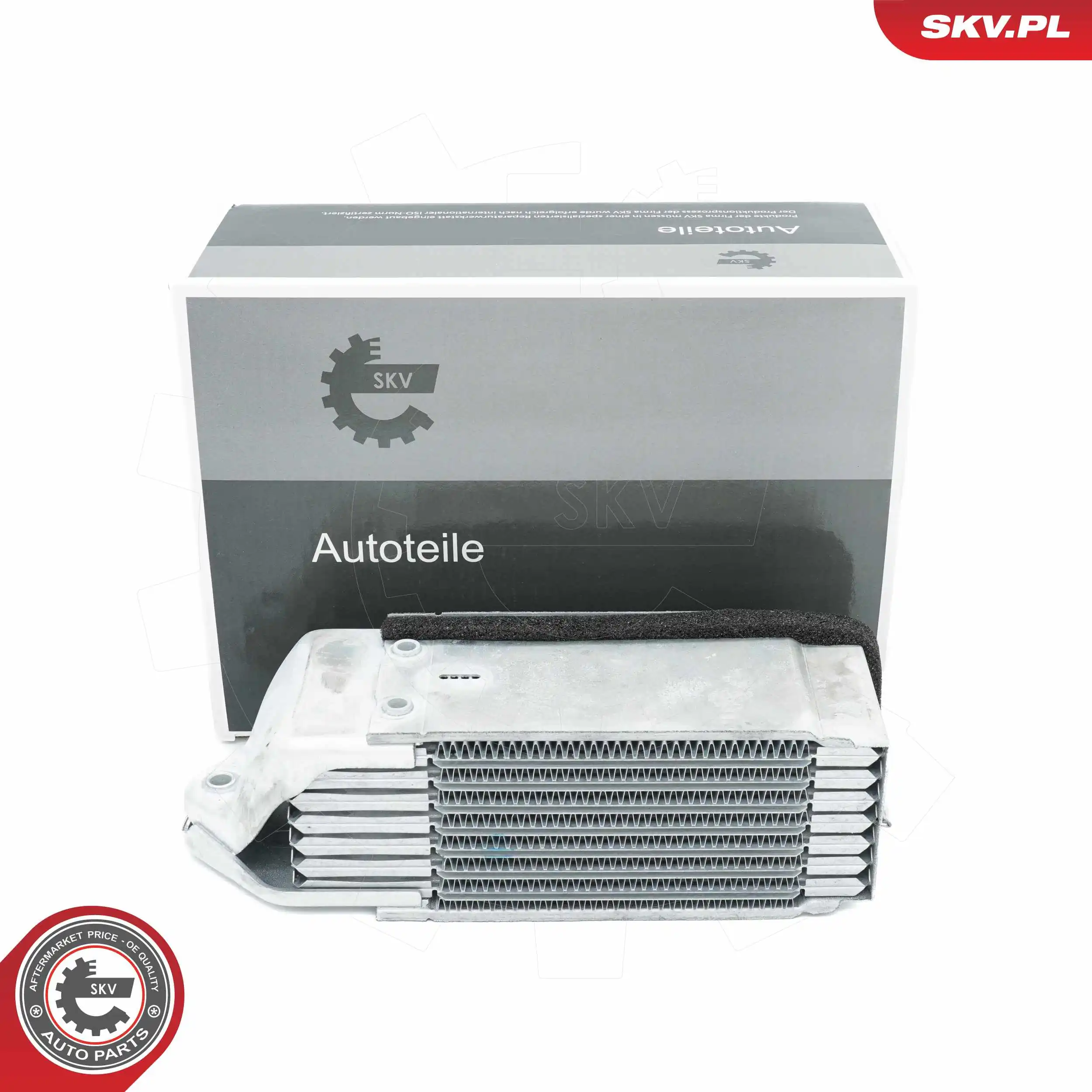 Oil Cooler, engine oil 31SKV210