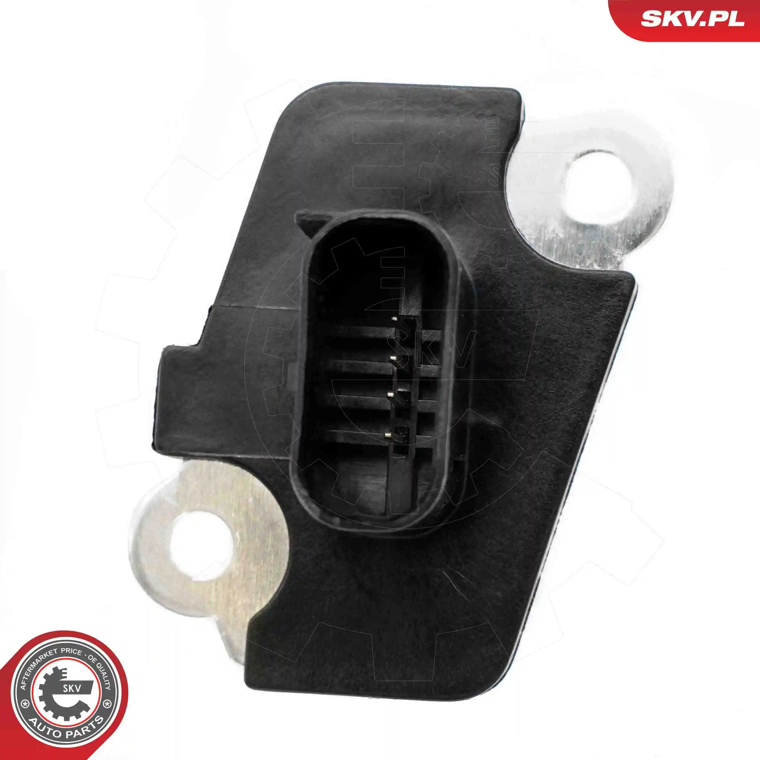 Mass Air Flow Sensor 07SKV188