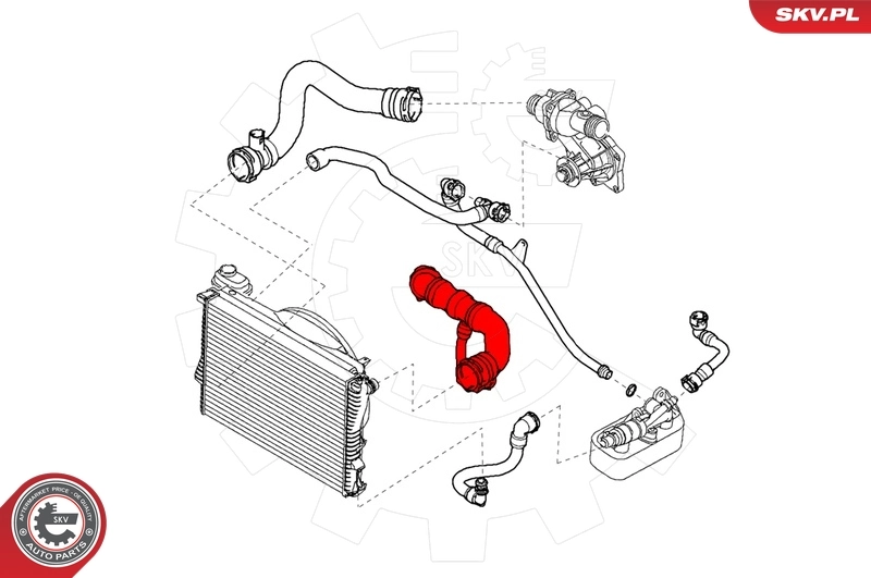Radiator Hose 24SKV242