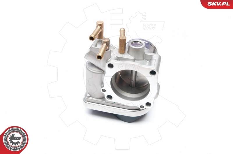 Throttle Body 12SKV047