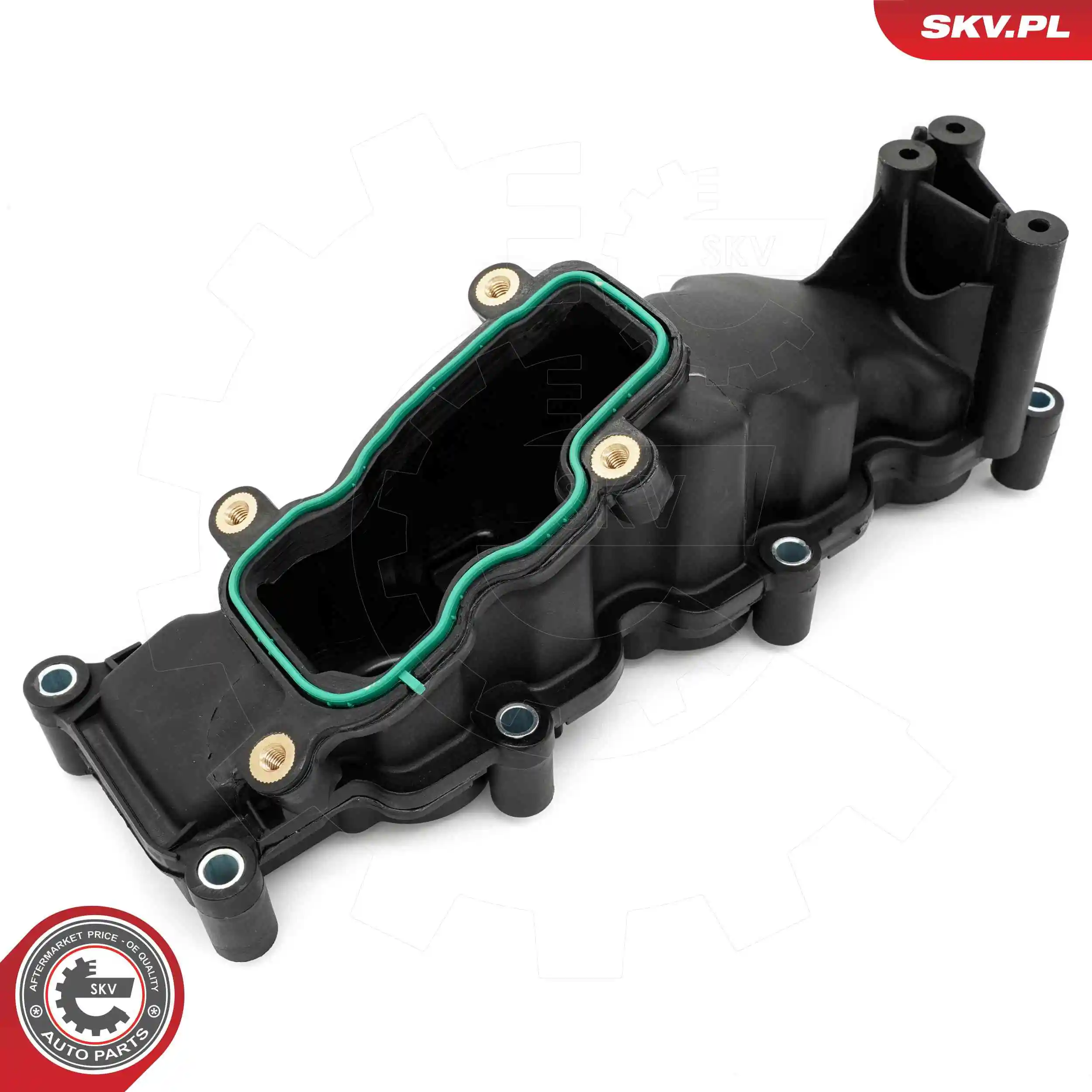 Intake Manifold Module 49SKV084