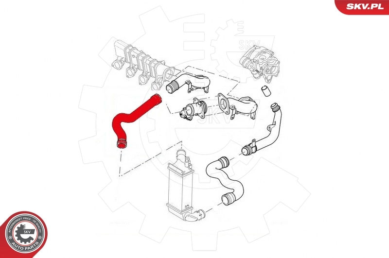 Charge Air Hose 24SKV871