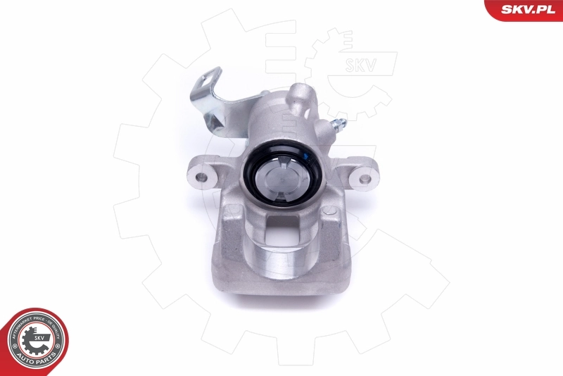Brake Caliper 50SKV293