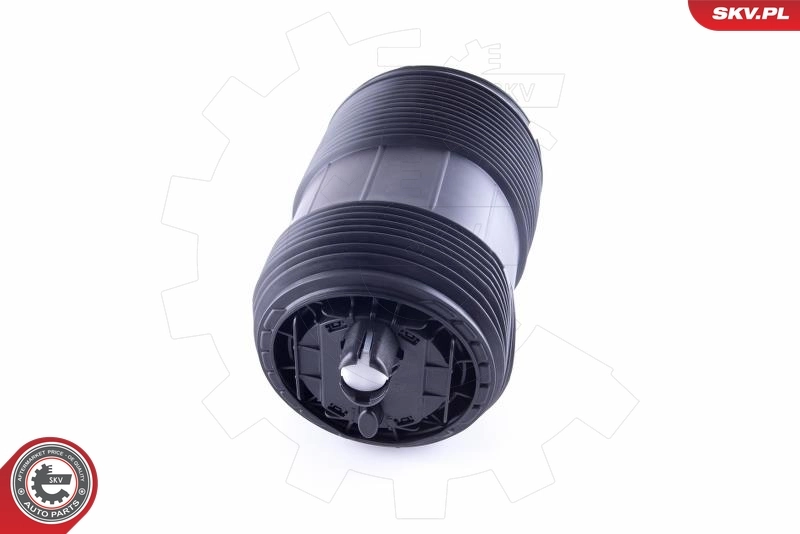 Air Spring, suspension 58SKV033