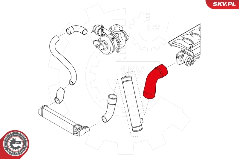 Charge Air Hose 24SKV134