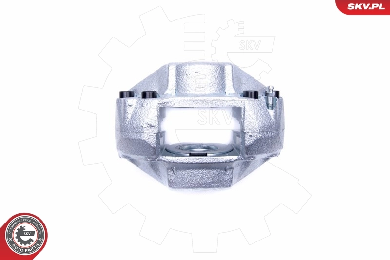 Brake Caliper 45SKV251