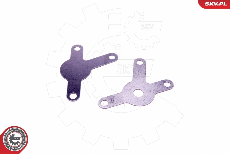 ESEN SKV 14SKV564 Repair Set, EGR valve