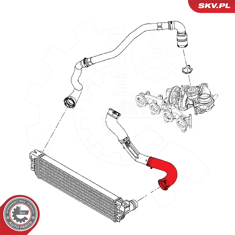 Charge Air Hose 54SKV011