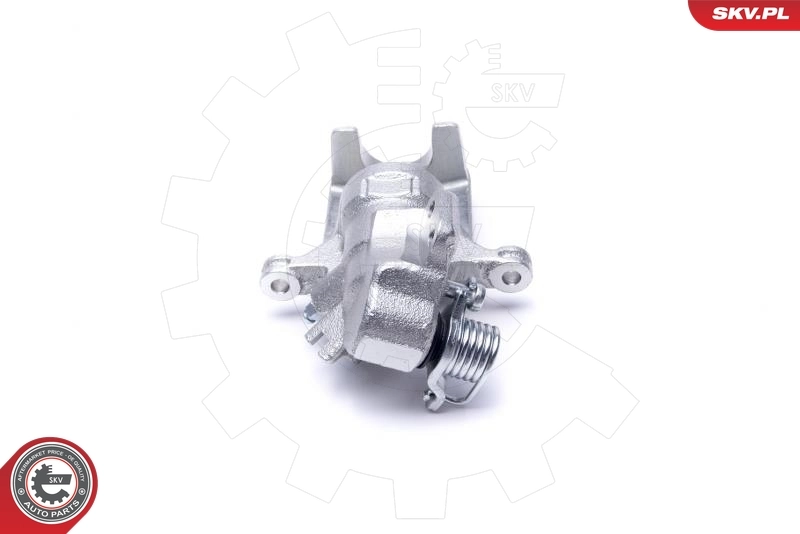 Brake Caliper 50SKV063