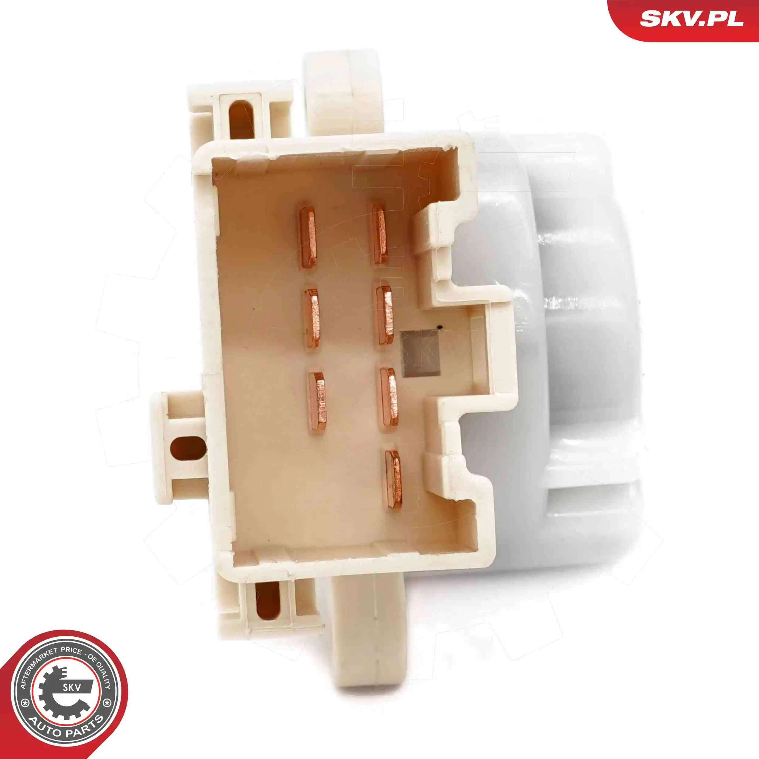 Ignition Switch 65SKV035