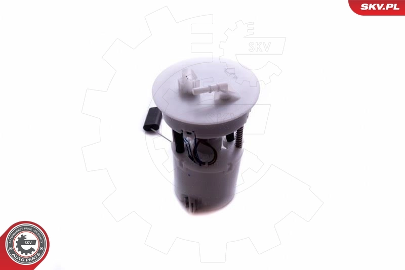 Fuel Feed Unit 02SKV819