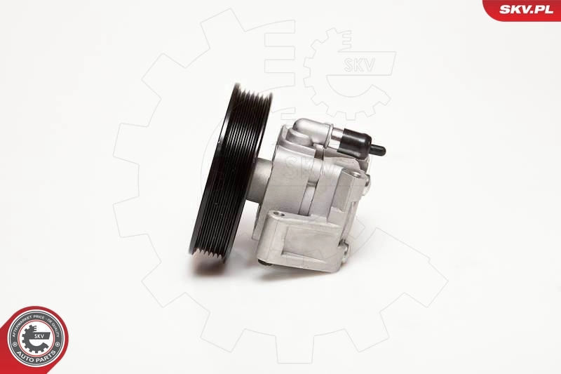 Hydraulic Pump, steering 10SKV050