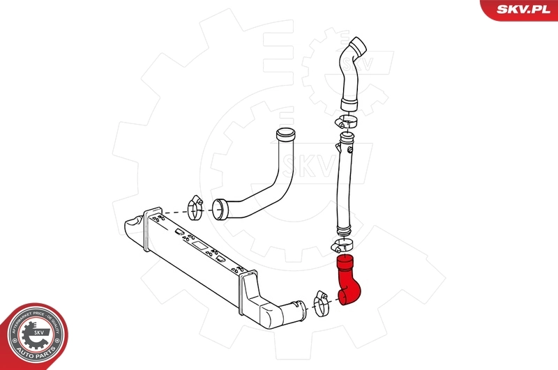 Charge Air Hose 24SKV171