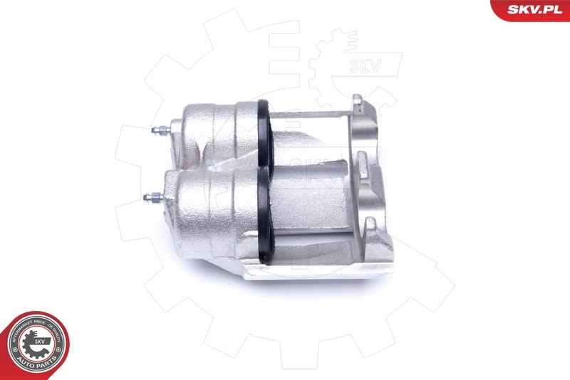 Brake Caliper 42SKV121