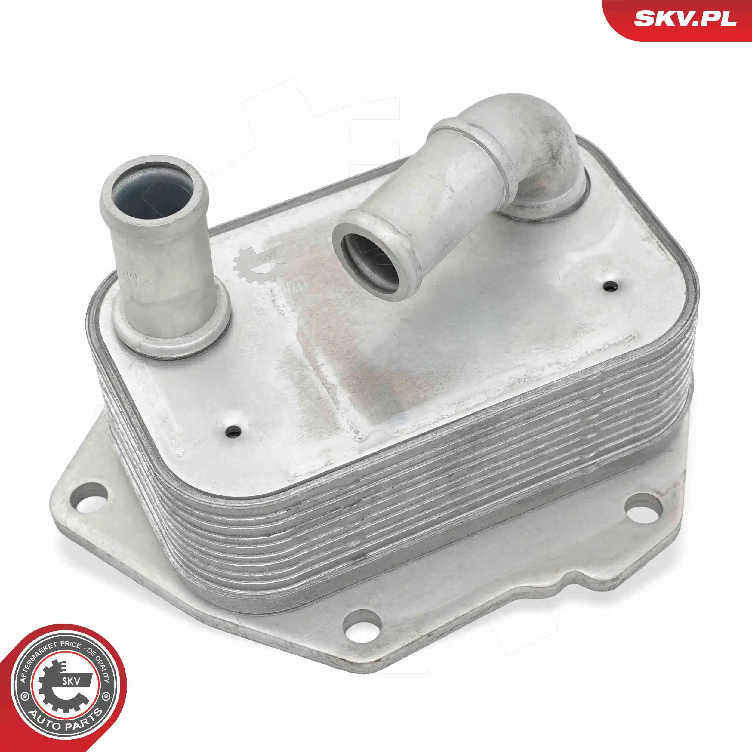 Oil Cooler, engine oil 31SKV277