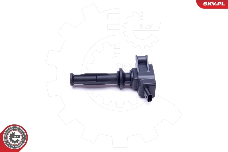 Ignition Coil 03SKV303