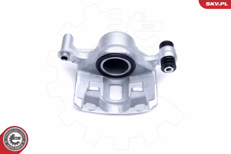 Brake Caliper 50SKV371
