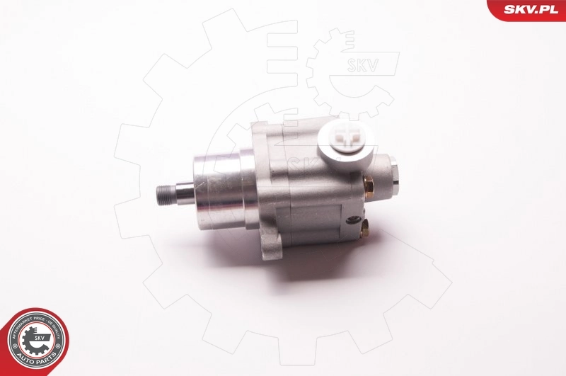 ESEN SKV 1SKV0015 Hydraulic Pump, steering
