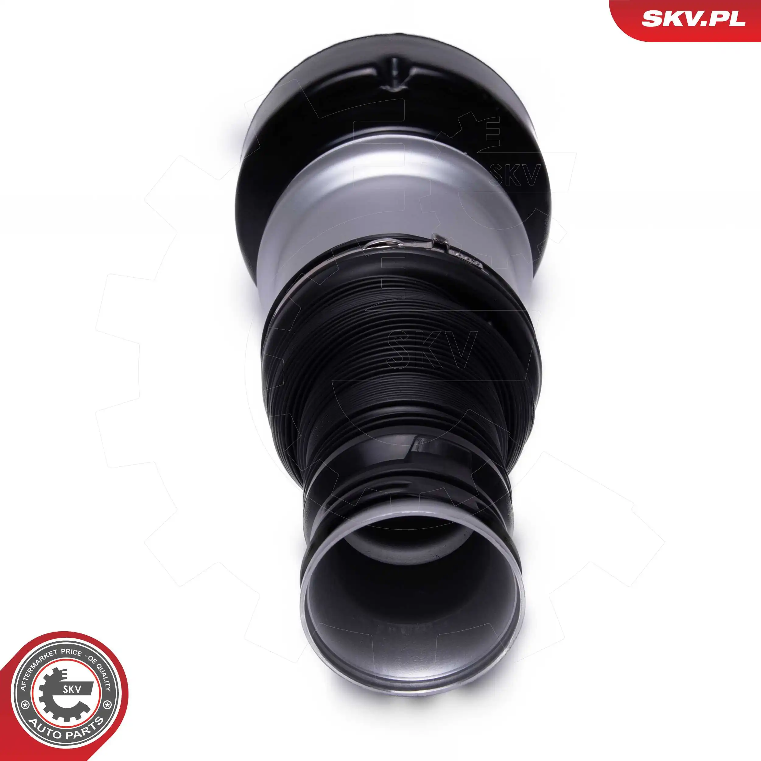 Air Suspension Strut 58SKV083