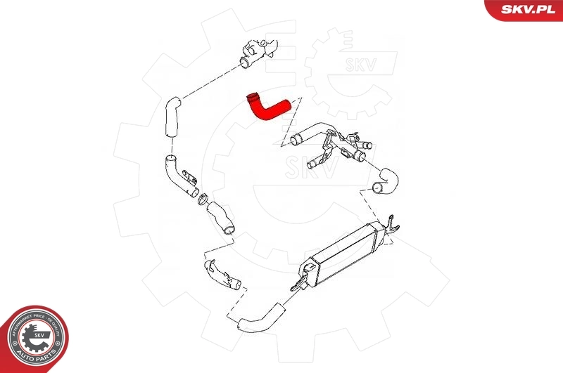 Charge Air Hose 43SKV209
