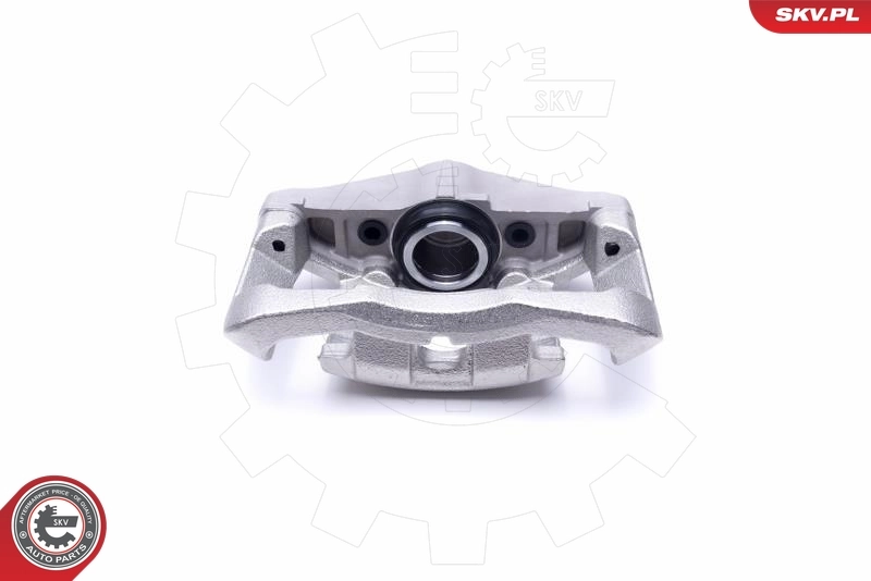 Brake Caliper 55SKV791
