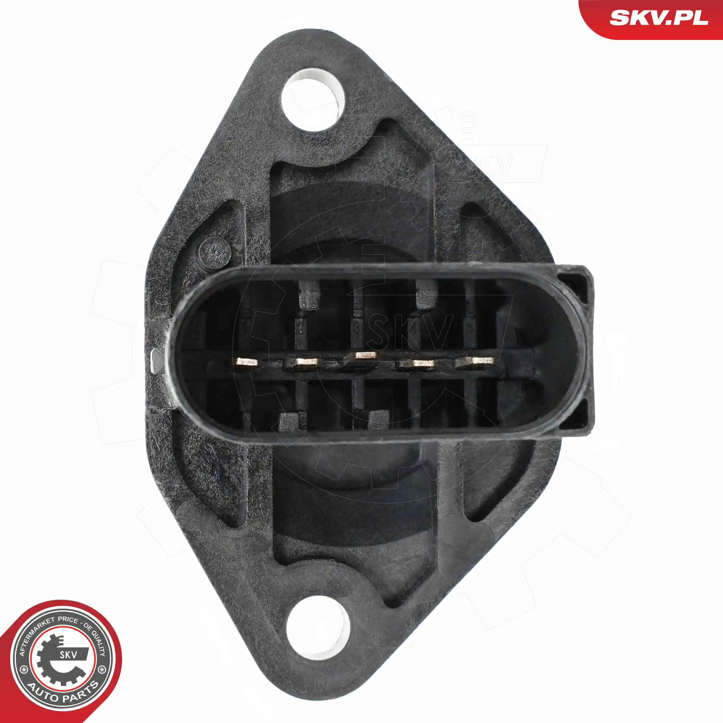 Mass Air Flow Sensor 07SKV299