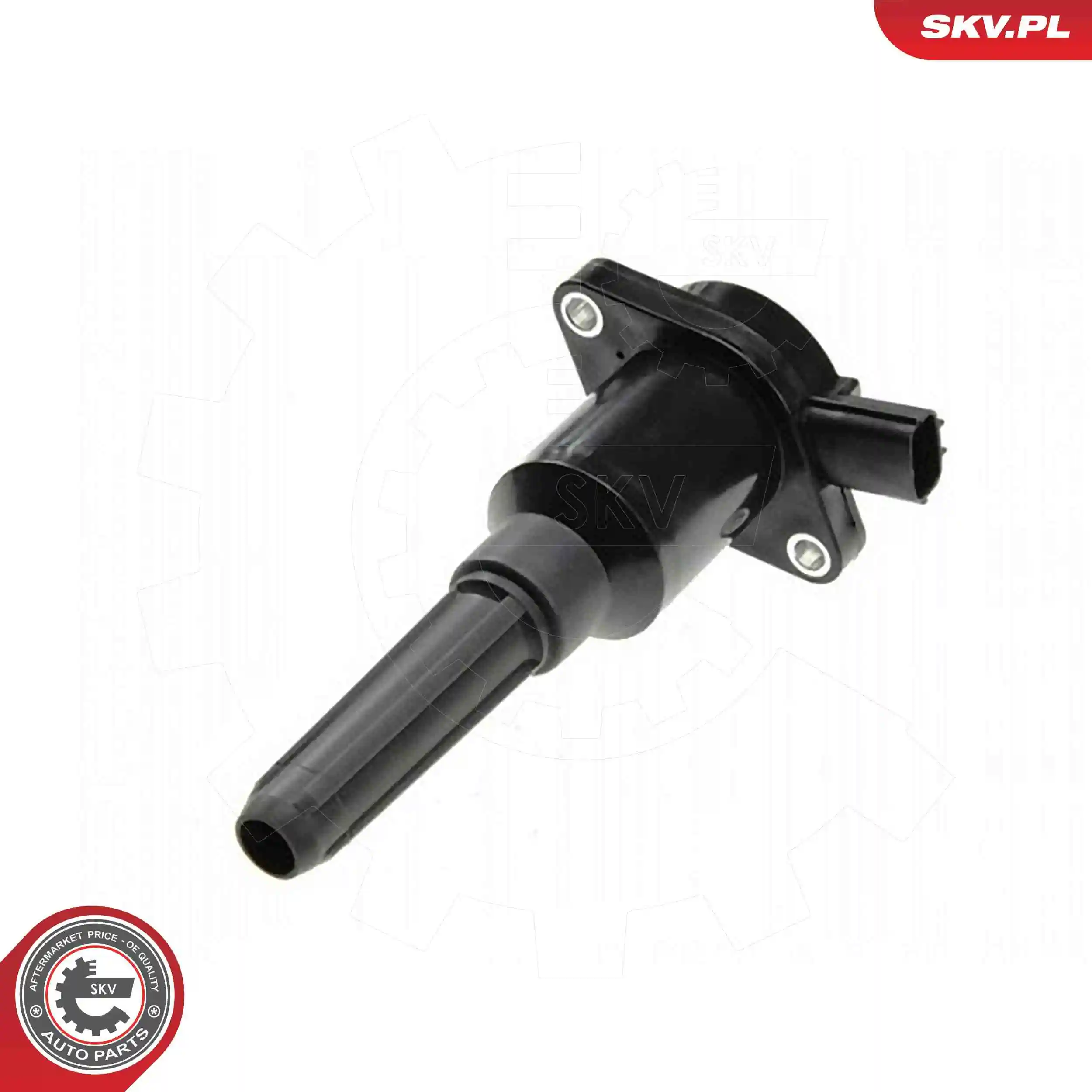 Ignition Coil 03SKV352