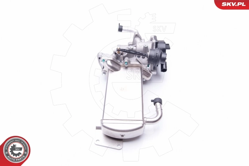 EGR Valve 14SKV154