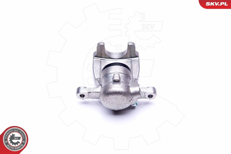Brake Caliper 45SKV564