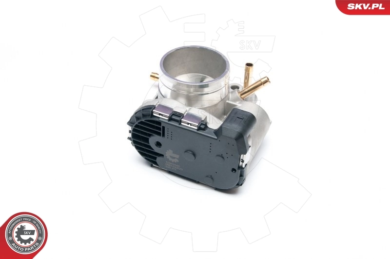 Throttle Body 12SKV045