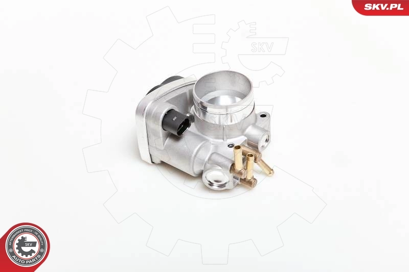 Throttle Body 12SKV032